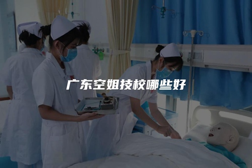 广东空姐技校哪些好 广东空姐技校哪些好