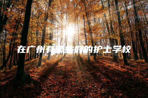 在广州有哪些好的护士学校 在广州有哪些好的护士学校