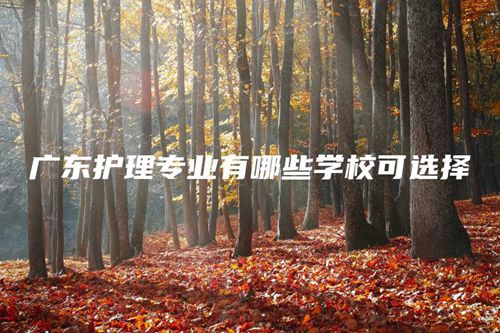 广东护理专业有哪些学校可选择 广东护理专业有哪些学校可选择