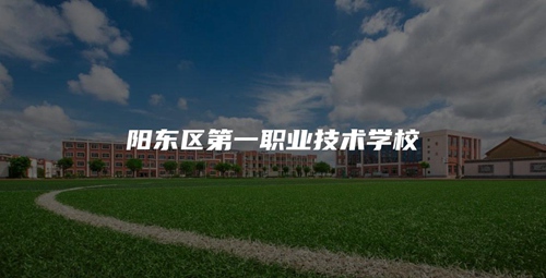 阳东区第一职业技术学校 阳东区第一职业技术学校