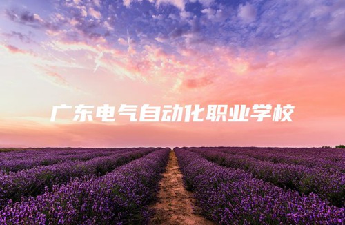 广东电气自动化职业学校 广东电气自动化职业学校