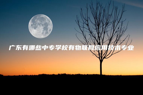 广东有哪些中专学校有物联网应用技术专业 广东有哪些中专学校有物联网应用技术专业