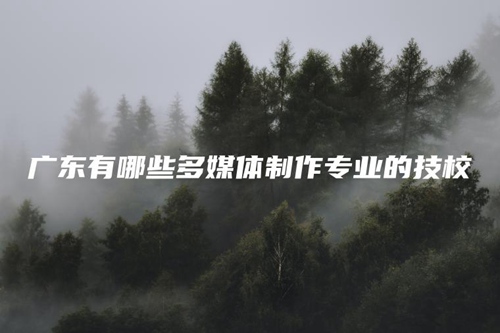 广东有哪些多媒体制作专业的技校 广东有哪些多媒体制作专业的技校
