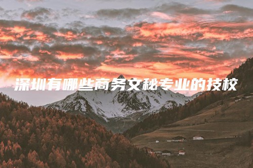 深圳有哪些商务文秘专业的技校 深圳有哪些商务文秘专业的技校