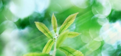 北京市第一七九中学有哪些适合女生的前景专业