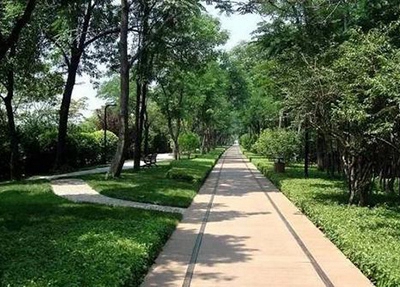 避开千军万马独木桥：台州市建联职业学校如何帮你弯道超车