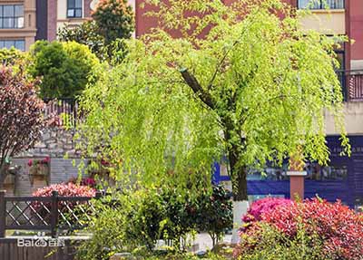 临夏市职业技术教育中心