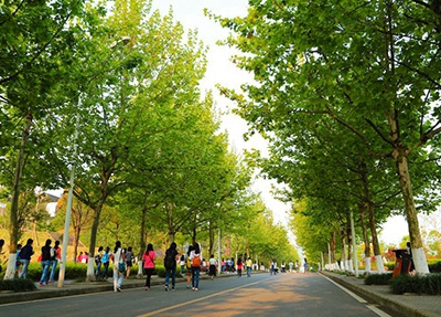 读秦皇岛技师学院有哪些升学路径