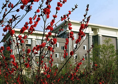 禹州市中等专业学校招生计划
