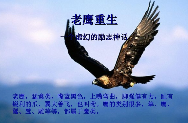 商州区职业高级中学地址在哪里 好不好