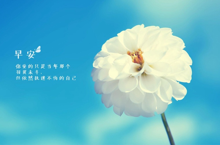宁夏2024年女生上中专学校有哪些技术