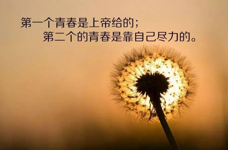 徽县农业职业技术学校在哪儿 具体地址
