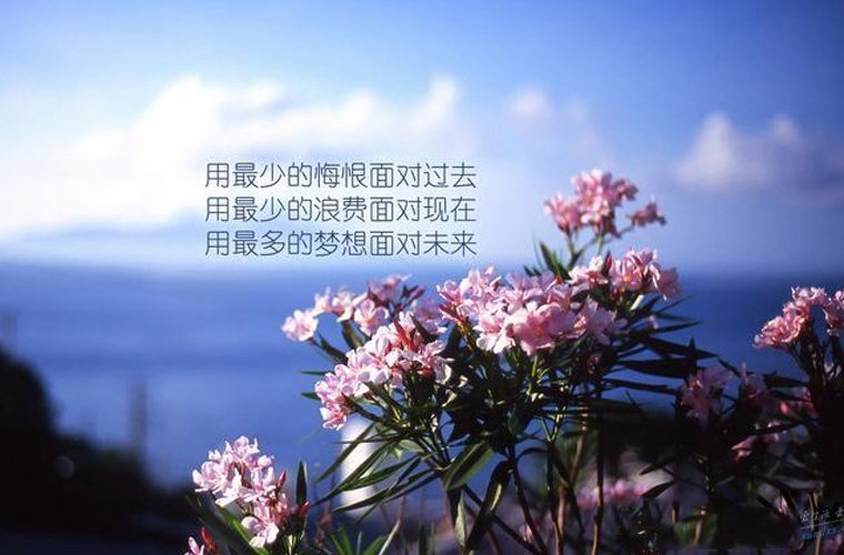 成都市四十中学怎么样 环境好不好