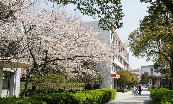 重庆市华为技工学校2024年有哪些专业