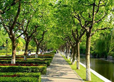 昆明农业学校2025年报名学费多少钱