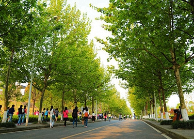 枣阳职教中心学校2025年宿舍条件