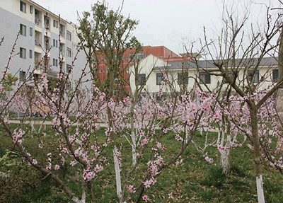 宜都职业教育中心地址在哪里 学校怎么样