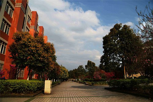 重庆道角职业中学报名条件是什么 重庆道角职业中学报名条件是什么