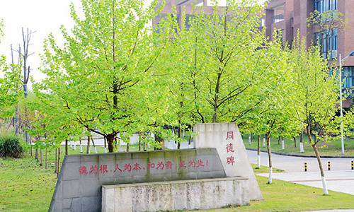重庆机电职业技术学院开设有哪些专业 重庆机电职业技术学院开设有哪些专业
