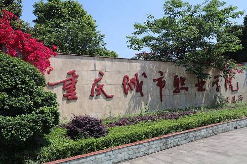 重庆城市职业学院学费是多少 重庆城市职业学院学费是多少