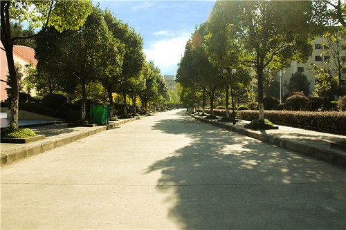 2021年重庆经贸职业学院五年制大专的招生要求 2021年重庆经贸职业学院五年制大专的招生要求