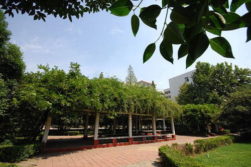 重庆市风景园林技工学校五年制大专学校招生要求 重庆市风景园林技工学校五年制大专学校招生要求