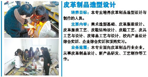 璧山职教中心皮革制品造型设计